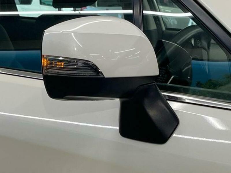 FORESTER-19