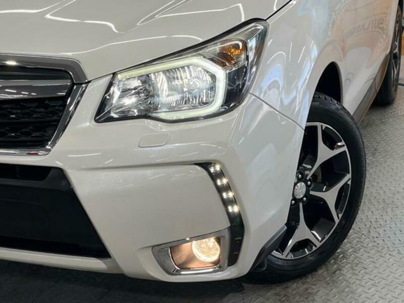 FORESTER-10