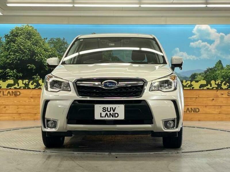FORESTER-12