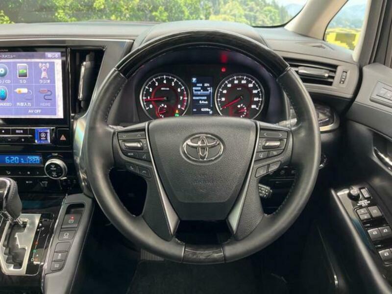 ALPHARD-10
