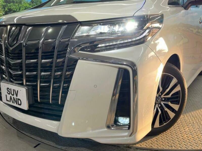 ALPHARD-11