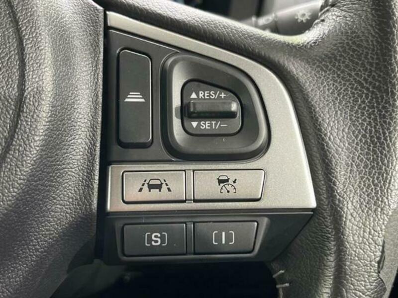 FORESTER-4