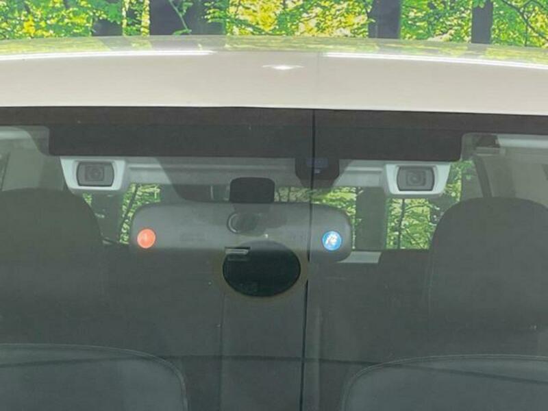 FORESTER-2