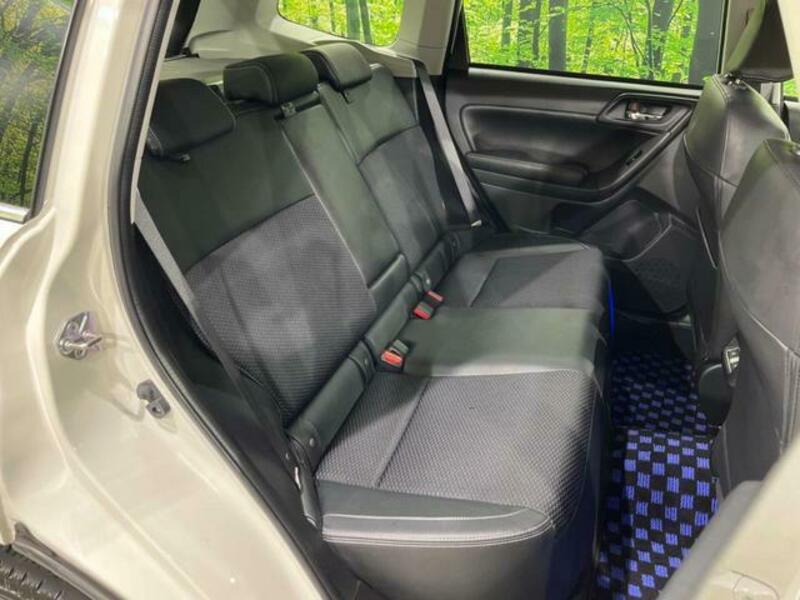 FORESTER-9