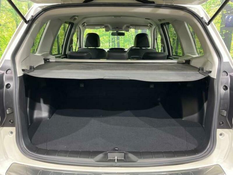 FORESTER-10