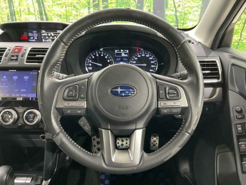 FORESTER-11