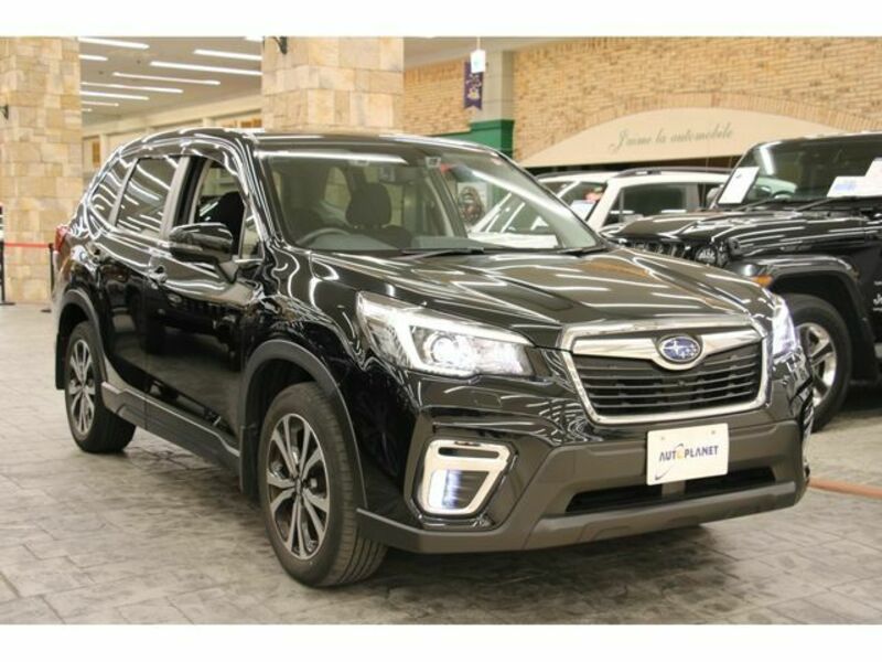 FORESTER