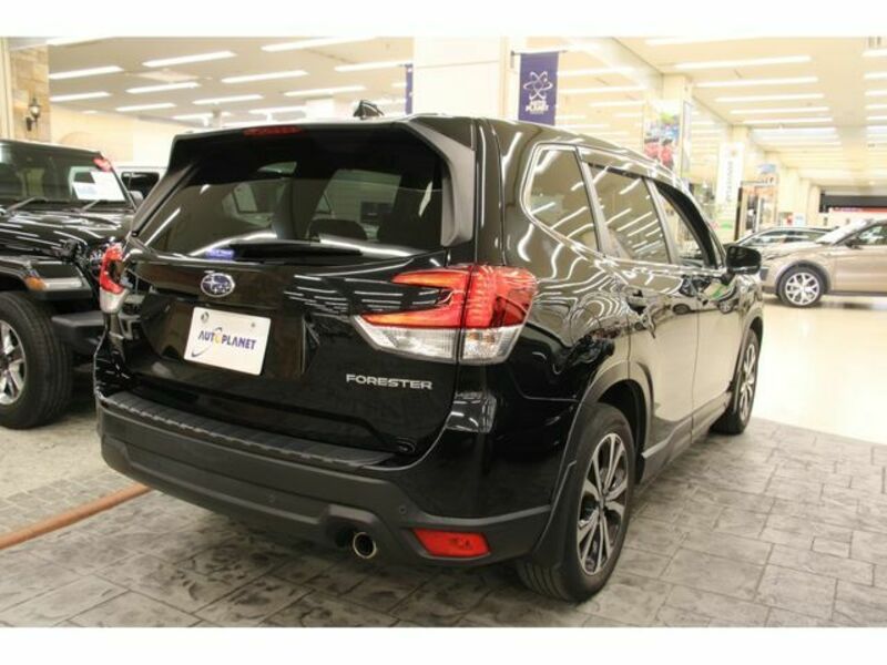 FORESTER