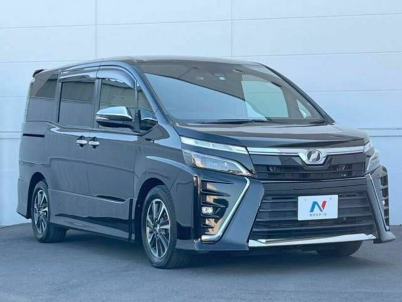 VOXY-17