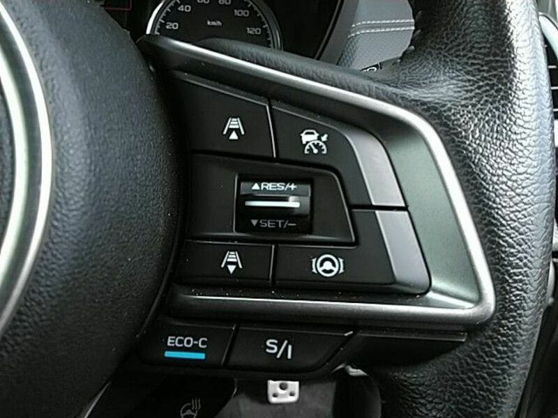 FORESTER-6