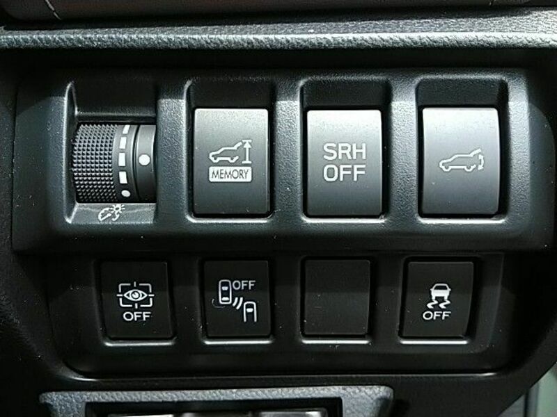 FORESTER-8