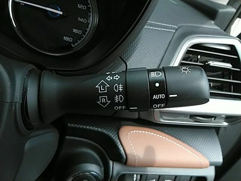 FORESTER-10