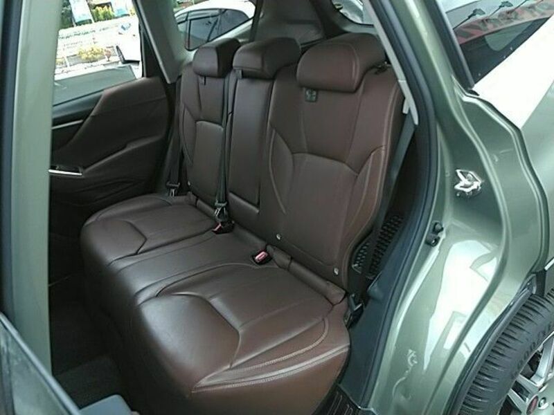 FORESTER-16