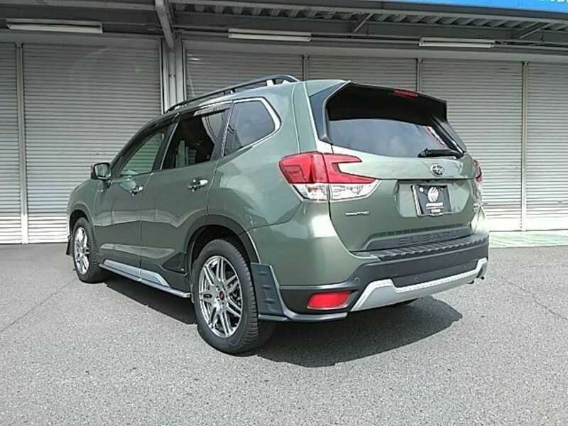 FORESTER-17
