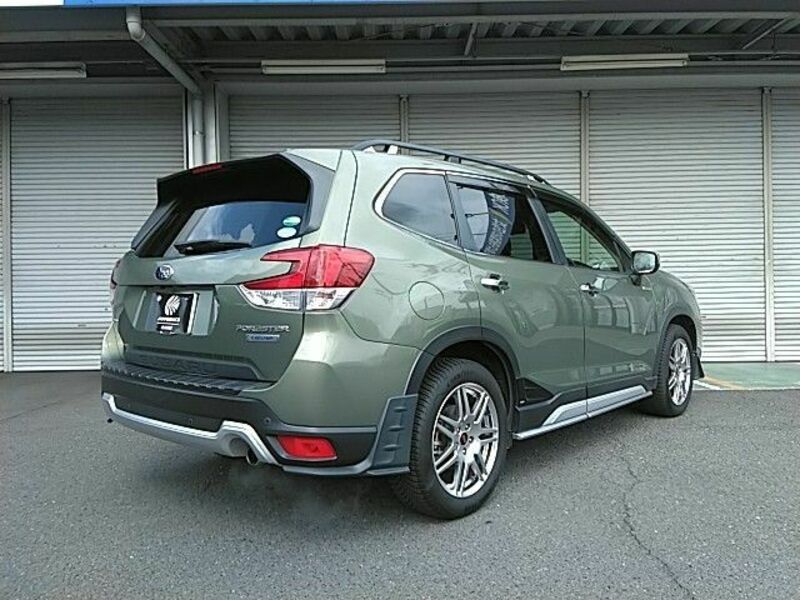 FORESTER-19