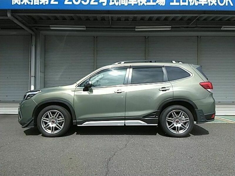 FORESTER-22