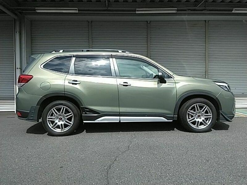 FORESTER-23