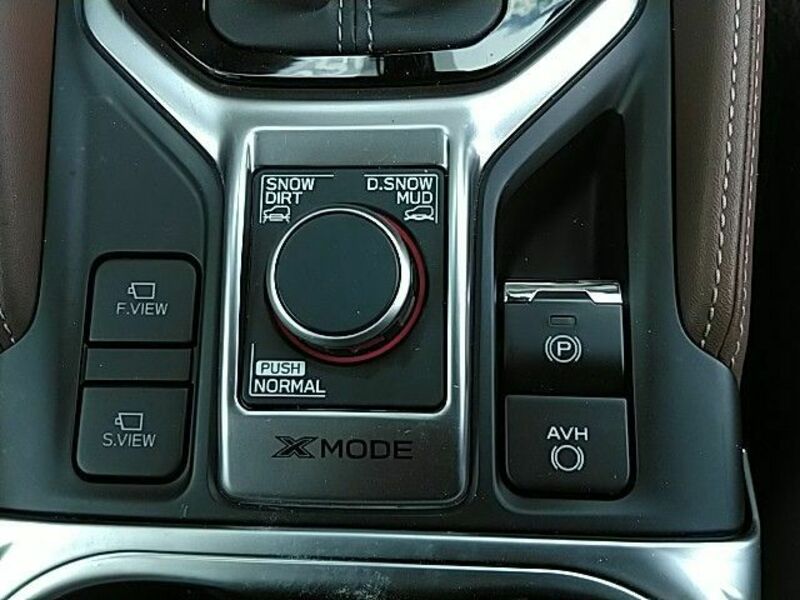 FORESTER-24
