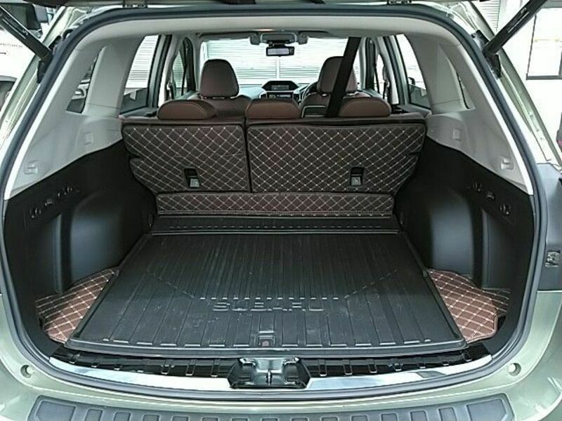FORESTER-26