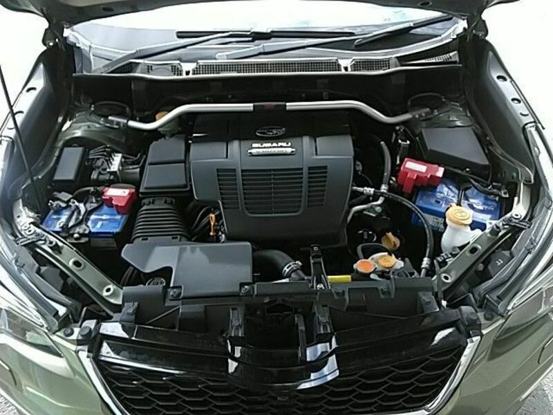 FORESTER-28