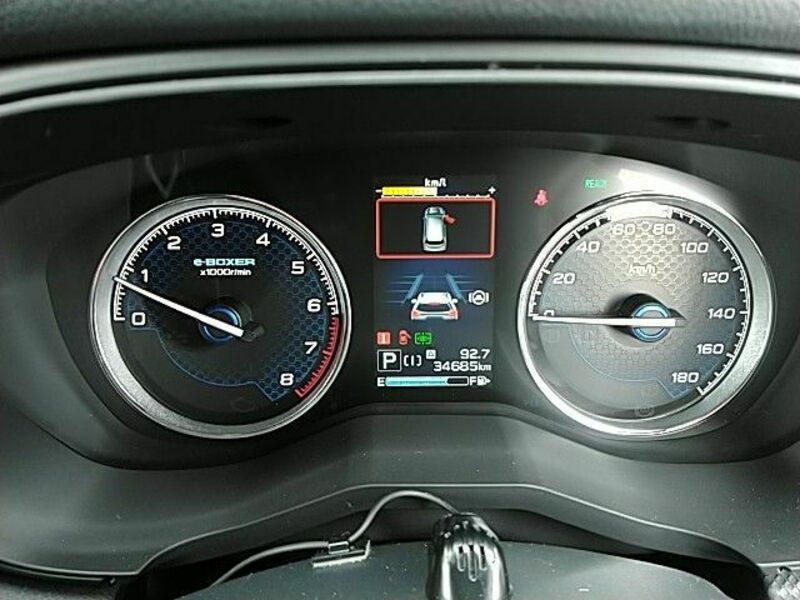 FORESTER-29