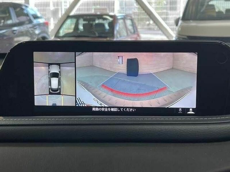 CX-30-3