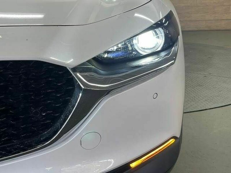 CX-30-10