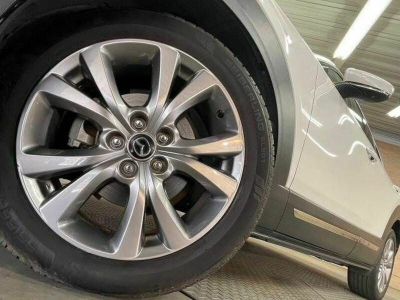 CX-30-11