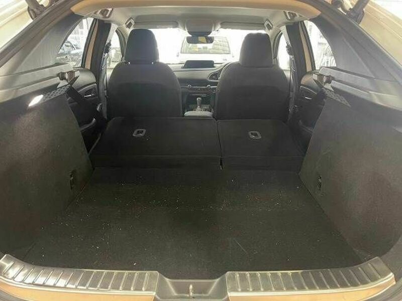 CX-30-19
