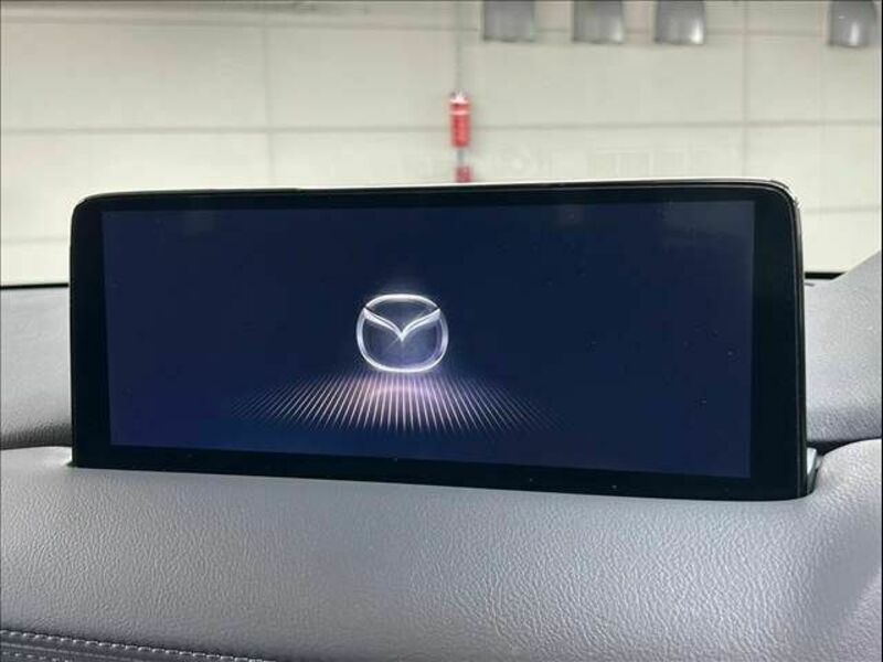 CX-8-2