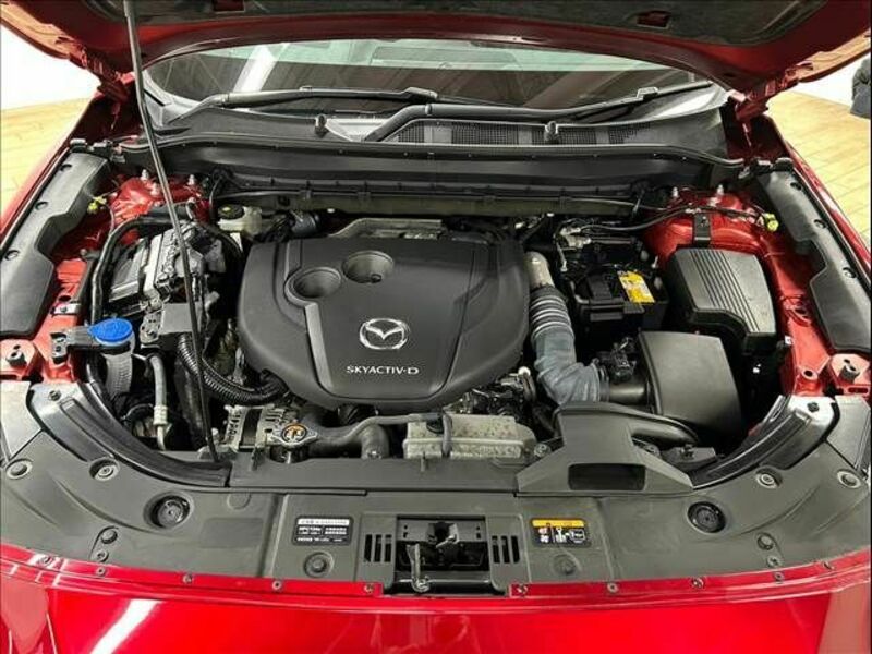 CX-8-13