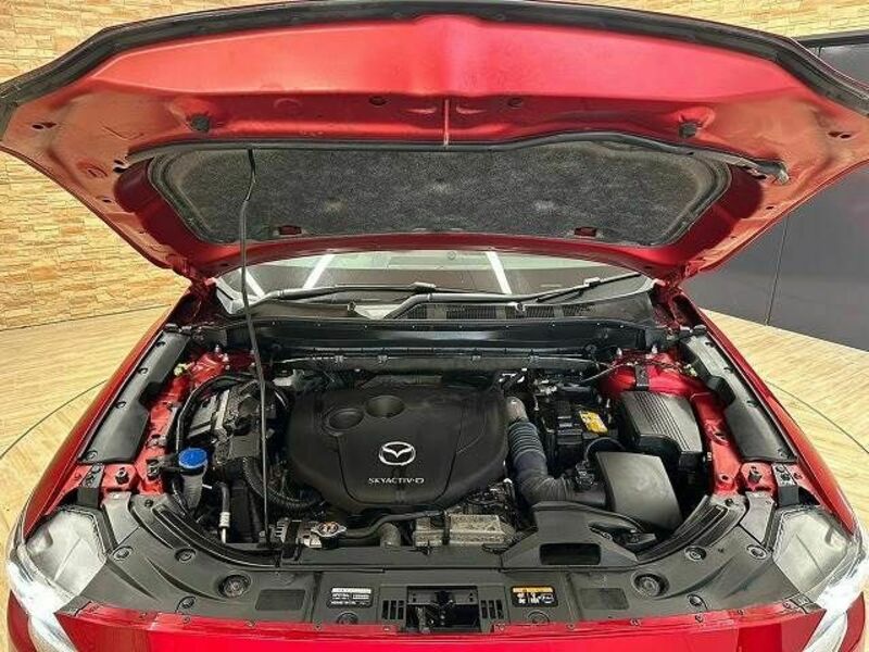 CX-8-17