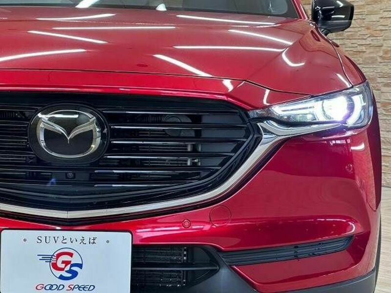 CX-8-19