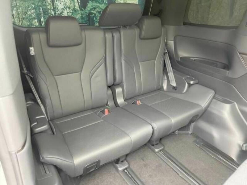 ALPHARD-10