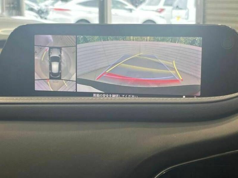 CX-30