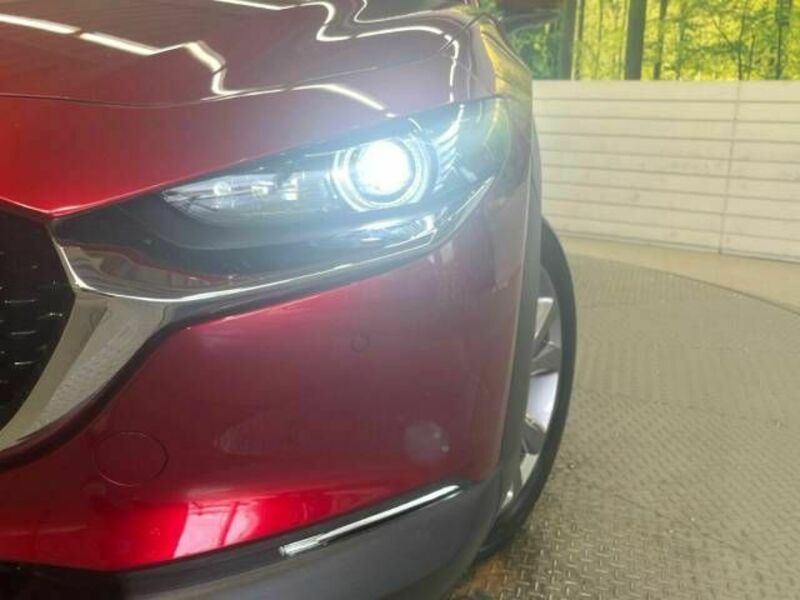 CX-30