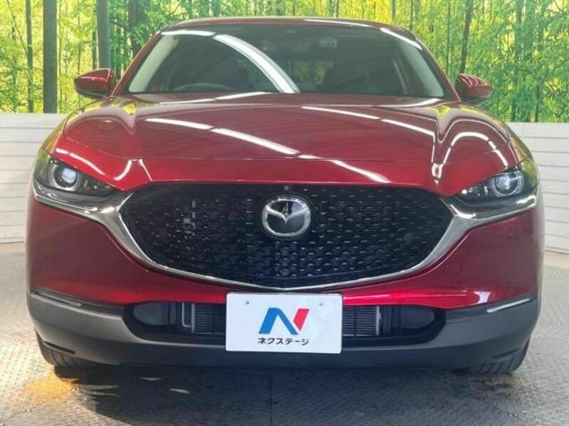 CX-30