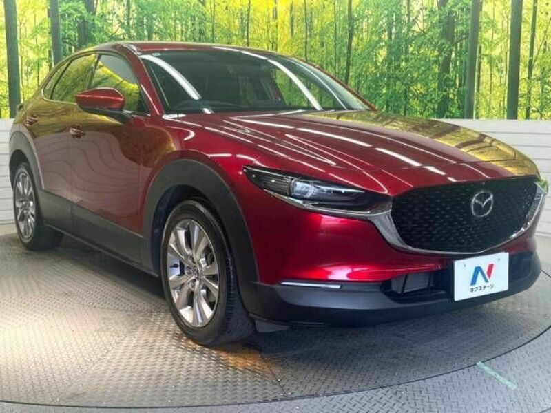 CX-30