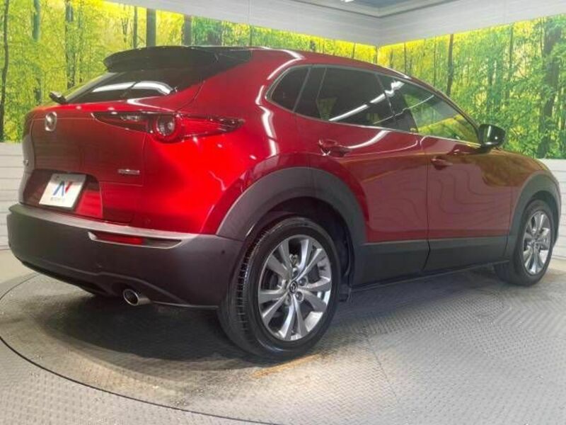 CX-30