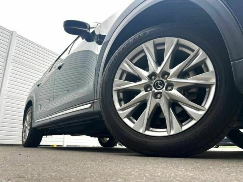 CX-8