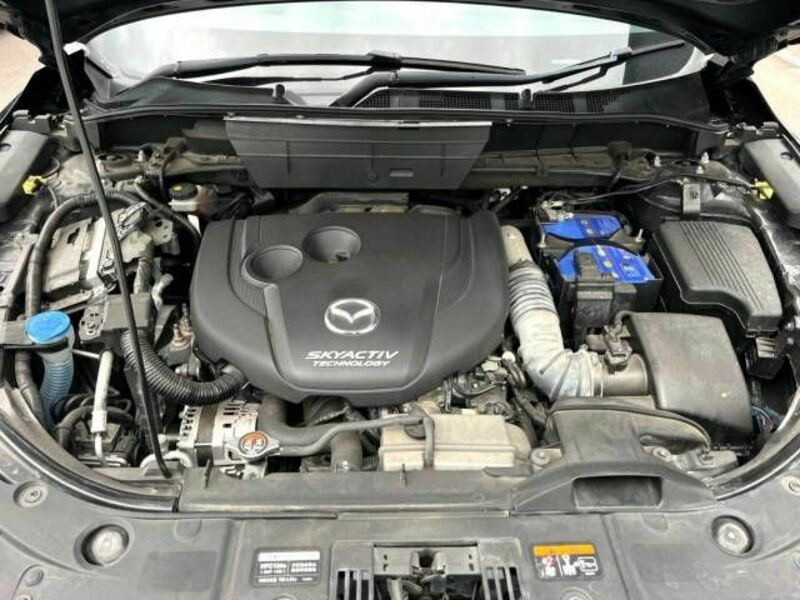 CX-8