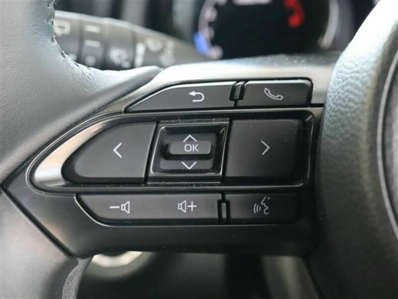 YARIS-13