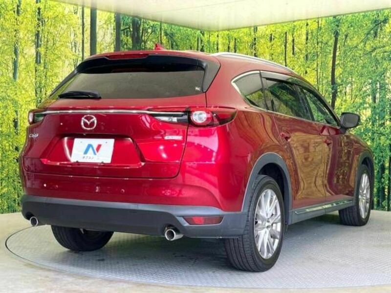 CX-8