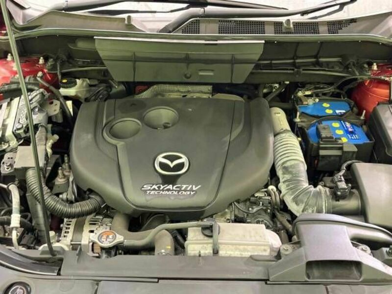 CX-8
