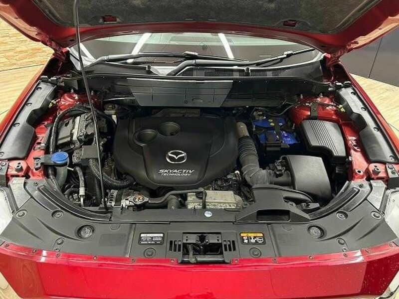 CX-8