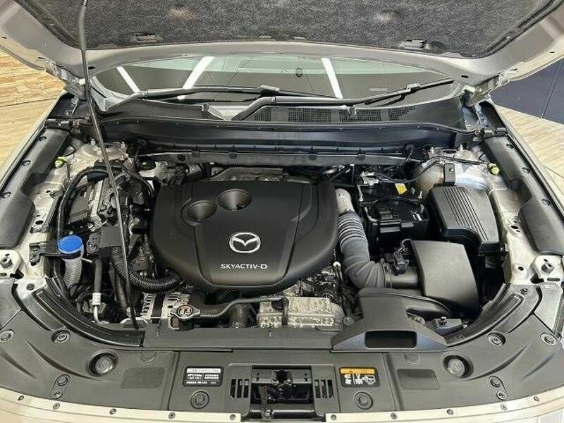 CX-8