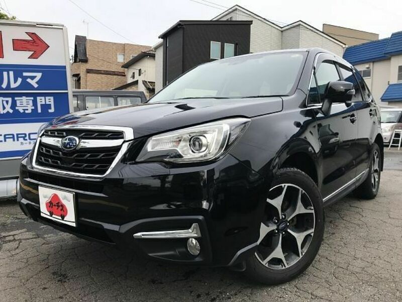 FORESTER