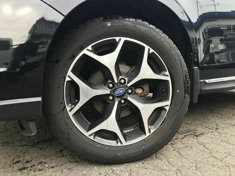 FORESTER-3
