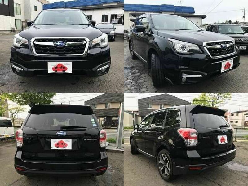 FORESTER-8