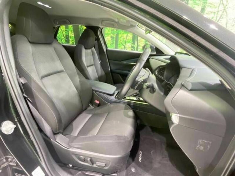CX-30